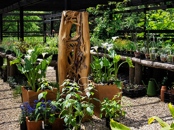 Landcraft Gardens 2024