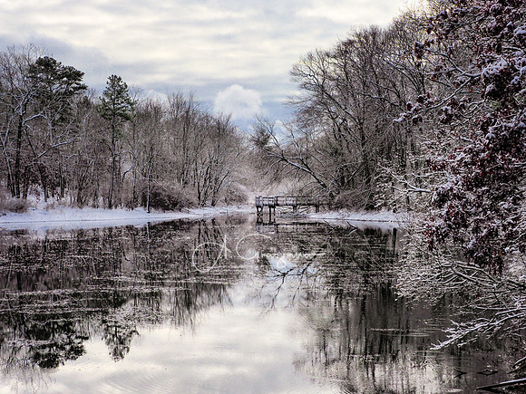 Season of Silence - Ridge Conservation Area