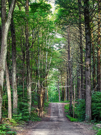 Getaway - Catskills East 2024