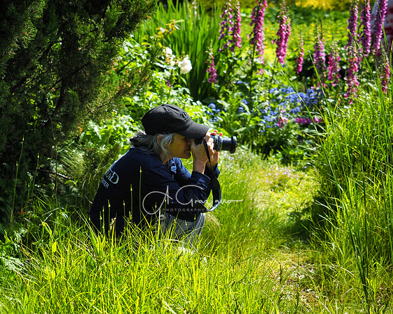 Landcraft Gardens Workshop 2022