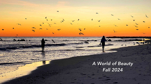 Ocean Park Beach - Long Beach, NY