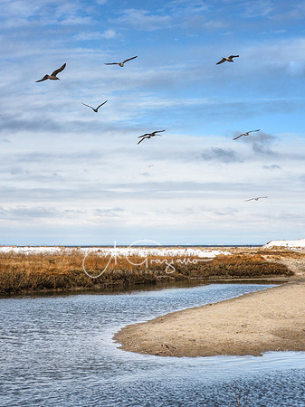 Wading River in Snow