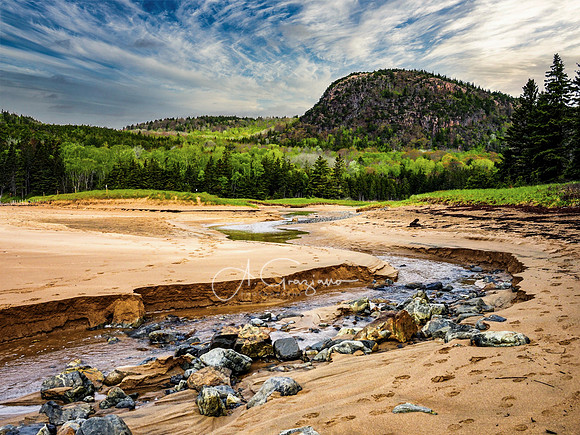 Sand Beach, Acadia 2022