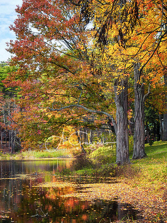 Adirondacks 2020
