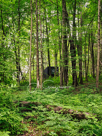 Getaway - Catskills East 2024