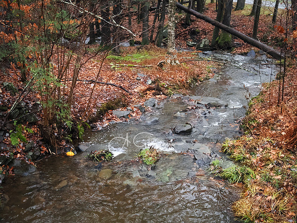 Catskills West
