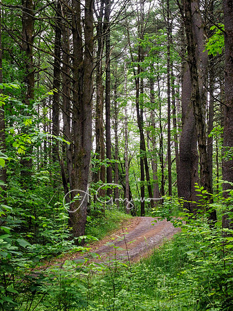 Getaway - Catskills East 2024