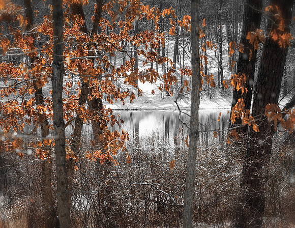 Lake Panamoka from Brookhaven SP